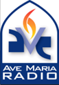 AMRLogo